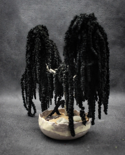 Kusamono Amaranthe Noir 02