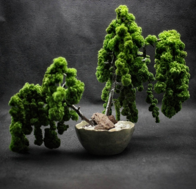 Kusamono Amaranthe Vert 02