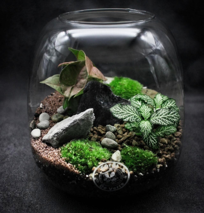 Collection Goccia (RUPTURE)