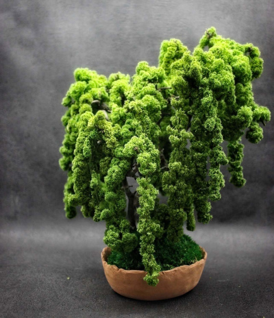 Kusamono Amaranthe Vert 05