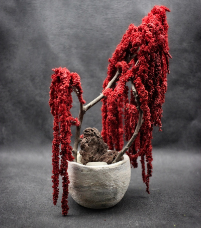 Kusamono Amaranthe Rouge 02