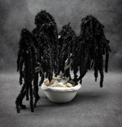 Kusamono Amaranthe Noir 01